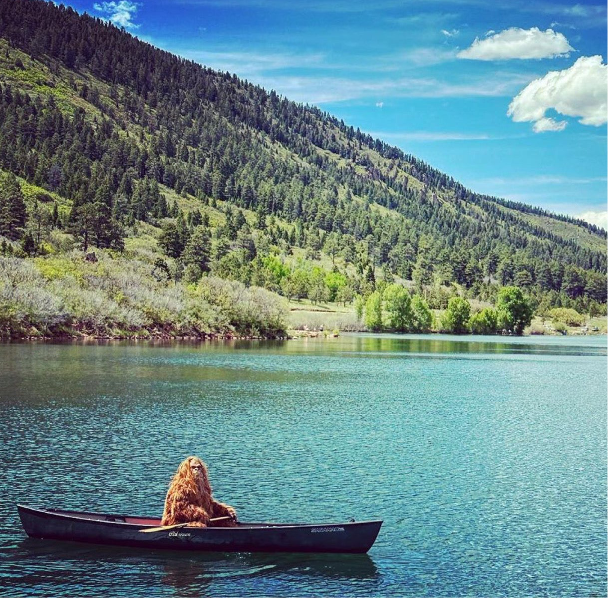 Canoe Rental